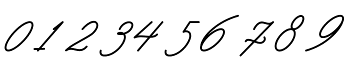 Aliantyara Signature Font OTHER CHARS