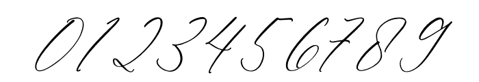 Alnetsia Montenela Italic Font OTHER CHARS