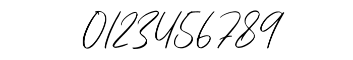 Alyson Signature Font OTHER CHARS
