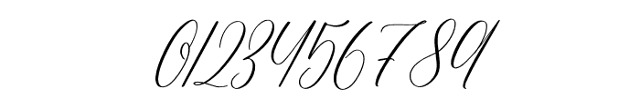 Amanda Calligraphy Font OTHER CHARS