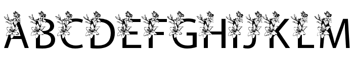 fontPreview