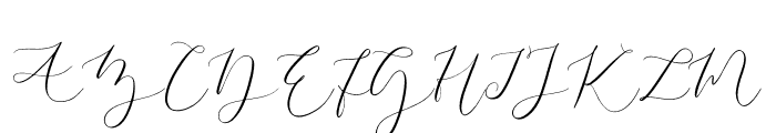 Amelie Signature Font UPPERCASE