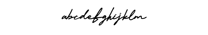 Amerika Signature Regular Font LOWERCASE