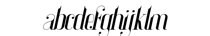 AmiraBeauty-Italic Font LOWERCASE