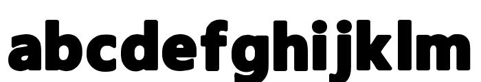 Amoky Typeface Font LOWERCASE