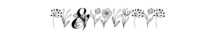 Amora Floral Slant Font OTHER CHARS