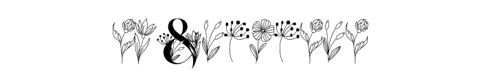 Amora Floral Font OTHER CHARS
