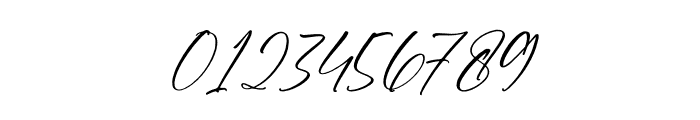 Amynha Italic Font OTHER CHARS
