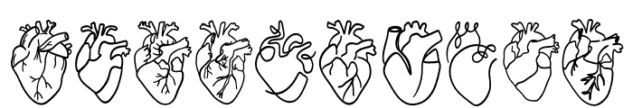 Anatomical Heart Font OTHER CHARS
