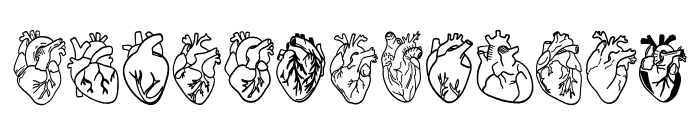 Anatomical Heart Font UPPERCASE
