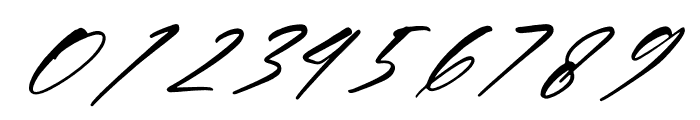 Andilante Gashina Italic Font OTHER CHARS