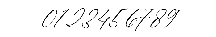 Andora Modern Script Italic Font OTHER CHARS