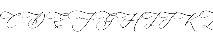 Andora Modern Script Italic Font UPPERCASE