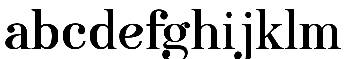 AnggieDisplay-Regular Font LOWERCASE