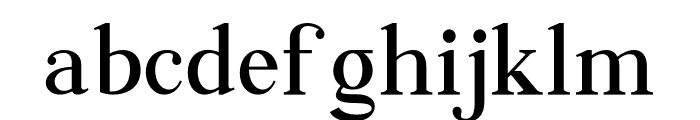 Anthem Minimalism serif Font LOWERCASE