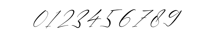 Anthoni Sifnature Italic Font OTHER CHARS