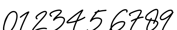 Anthoni Signature Bold Font OTHER CHARS