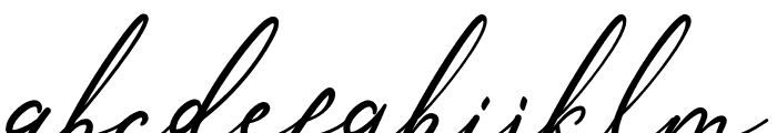 Anthoni Signature Bold Font LOWERCASE