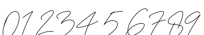 Anthoni Signature Font OTHER CHARS