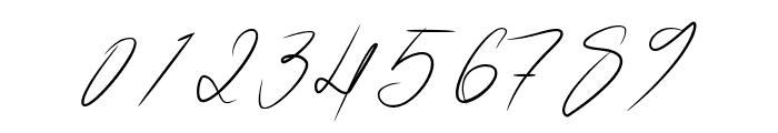 Anthonio Bradley Signature Font OTHER CHARS