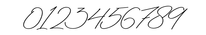 Antica Signature Font OTHER CHARS