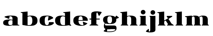 Ardin Regular Font LOWERCASE