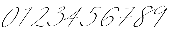 Arielle Signature Font OTHER CHARS