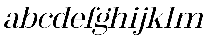 Arshila-Italic Font LOWERCASE