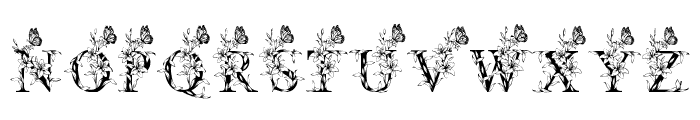 Asiatic Lily Flower Font UPPERCASE