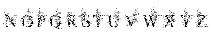 Asiatic Lily Flower Font LOWERCASE