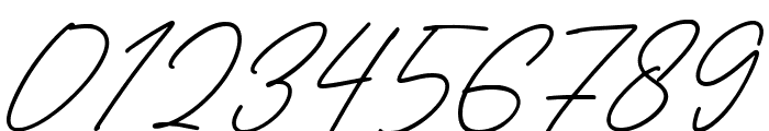 Asita Signature Regular Font OTHER CHARS