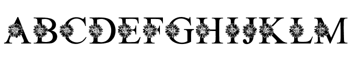 AsterFlowerMonogram Font LOWERCASE