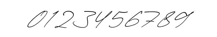 Attallia Signature Italic Font OTHER CHARS