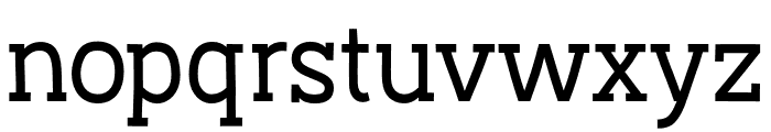 Austral Slab Regular Font LOWERCASE