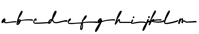 Australian Signature Swash Font LOWERCASE