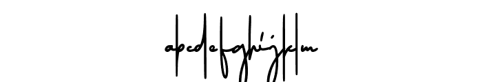 Austryan Signature Font LOWERCASE