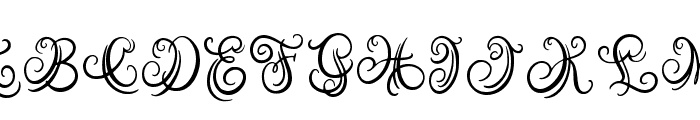 Austy Monogram Font LOWERCASE