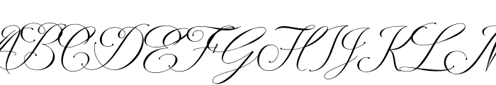 Avalon Chaligraphy Font UPPERCASE