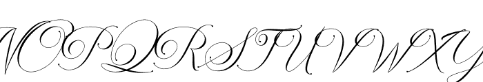 Avalon Chaligraphy Font UPPERCASE
