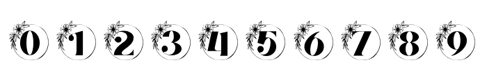 Aventine Floral Monogram Font OTHER CHARS