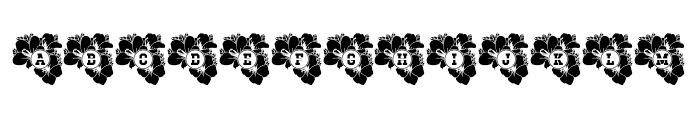Azalea Mono Split Font LOWERCASE