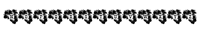 Azalea Mono Split Font LOWERCASE