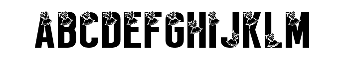 fontPreview