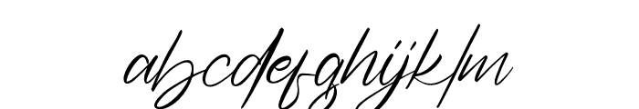 BadogaSignature Font LOWERCASE