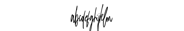 BadriyasSignature-Regular Font LOWERCASE