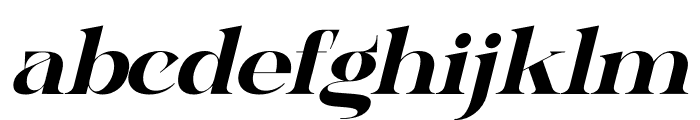 Bagife Italic Font LOWERCASE