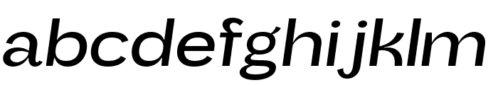 Baguede Italic Font LOWERCASE