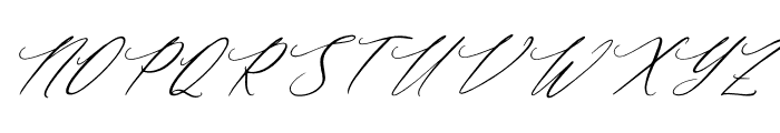 Baiden Amelie Italic Font UPPERCASE