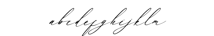 Baiden Amelie Italic Font LOWERCASE