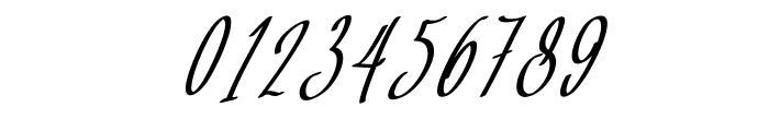 Baropetha Signature_Italic2 Font OTHER CHARS